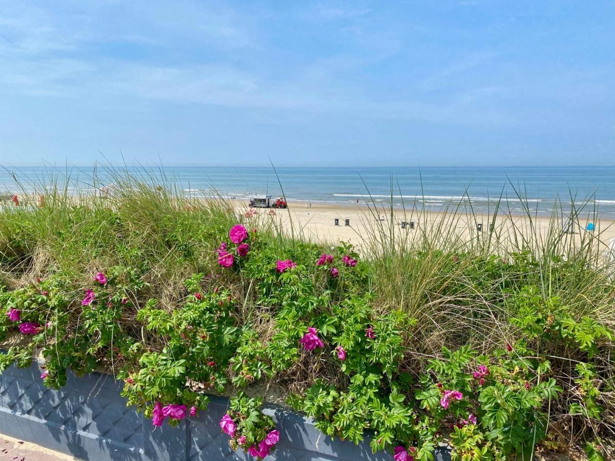 @54 Διαμέρισμα Zandvoort Εξωτερικό φωτογραφία